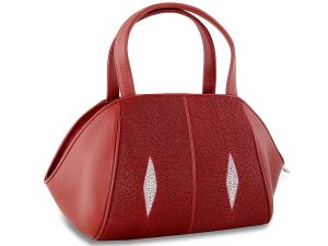Exotic Skate Red Leather Bag